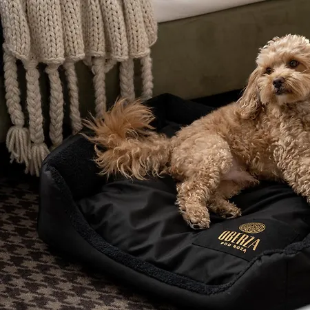 ベッド・アンド・ブレックファスト Oberza Pod Roza Restauracja, Sauny, Jacuzzi