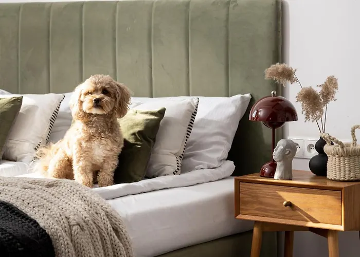 ベッド・アンド・ブレックファスト Oberza Pod Roza Restauracja, Sauny, Jacuzzi 4*