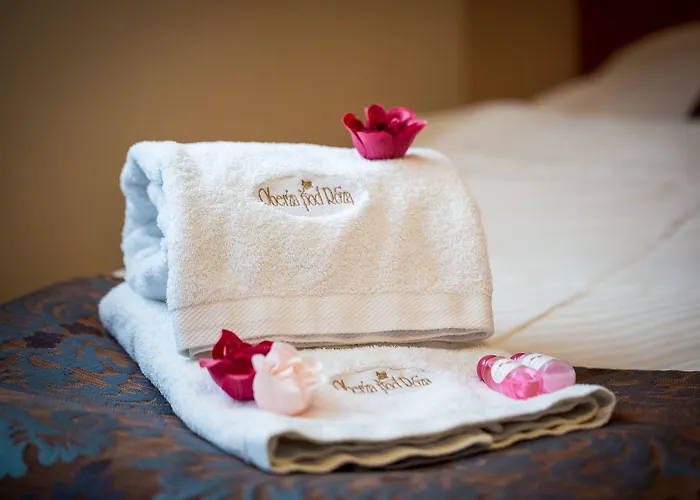 住宿加早餐酒店 Oberza Pod Roza Restauracja, Sauny, Jacuzzi 4*